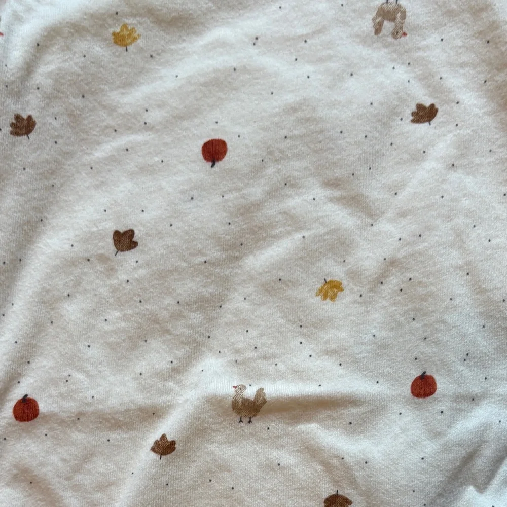 Carter's Cream Thanksgiving Turkey Bodysuit Brown Acorn Skirt Suspenders Outfit - Picture 2 of 6